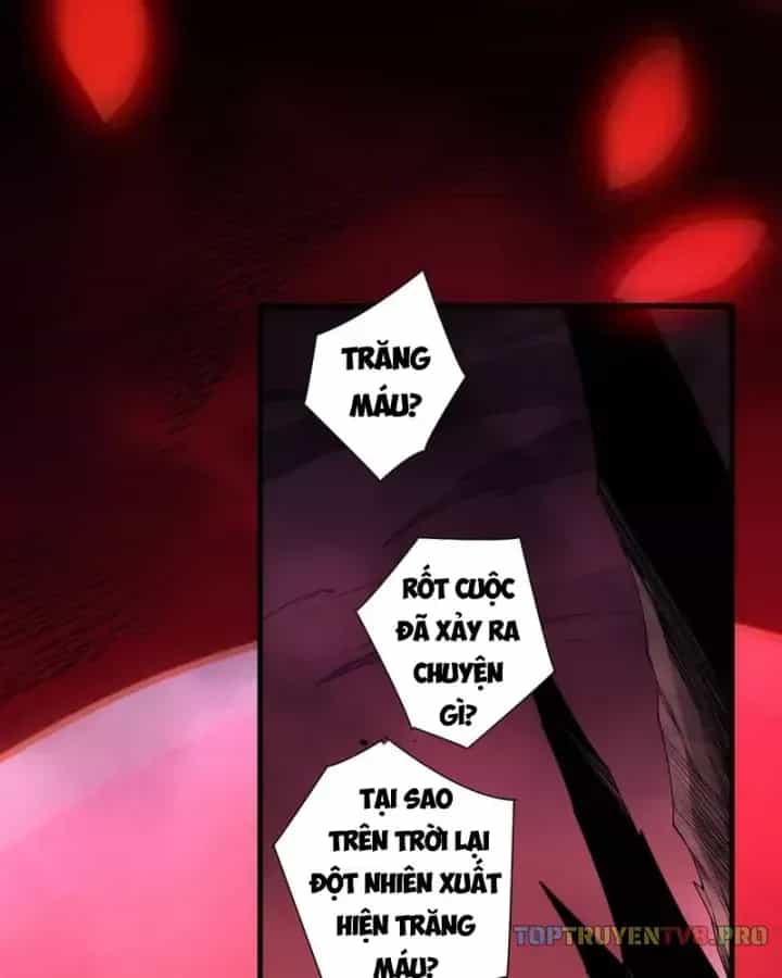Thảm Họa Tử Linh Sư - Chương 266 - ảnh 2