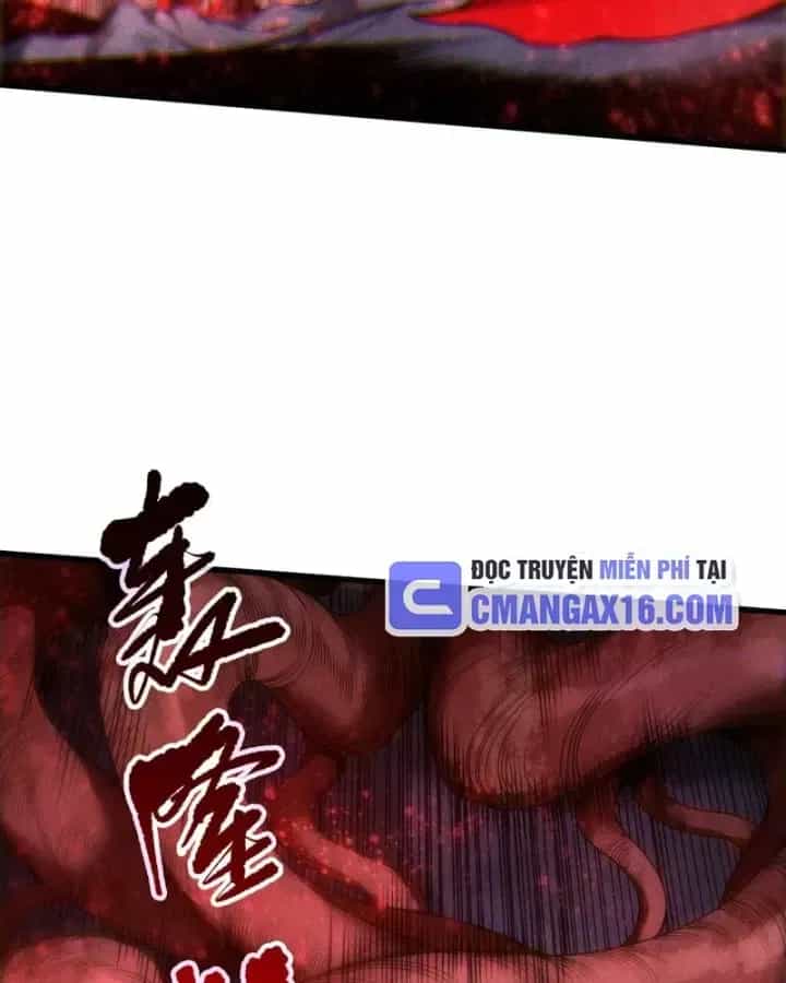 Thảm Họa Tử Linh Sư - Chương 266 - ảnh 25