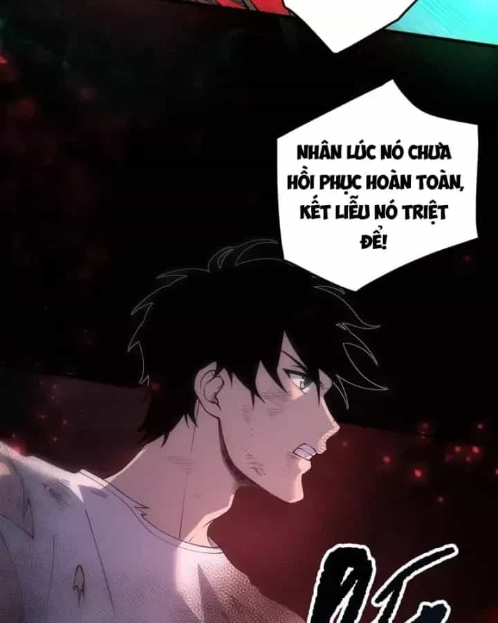 Thảm Họa Tử Linh Sư - Chương 266 - ảnh 46