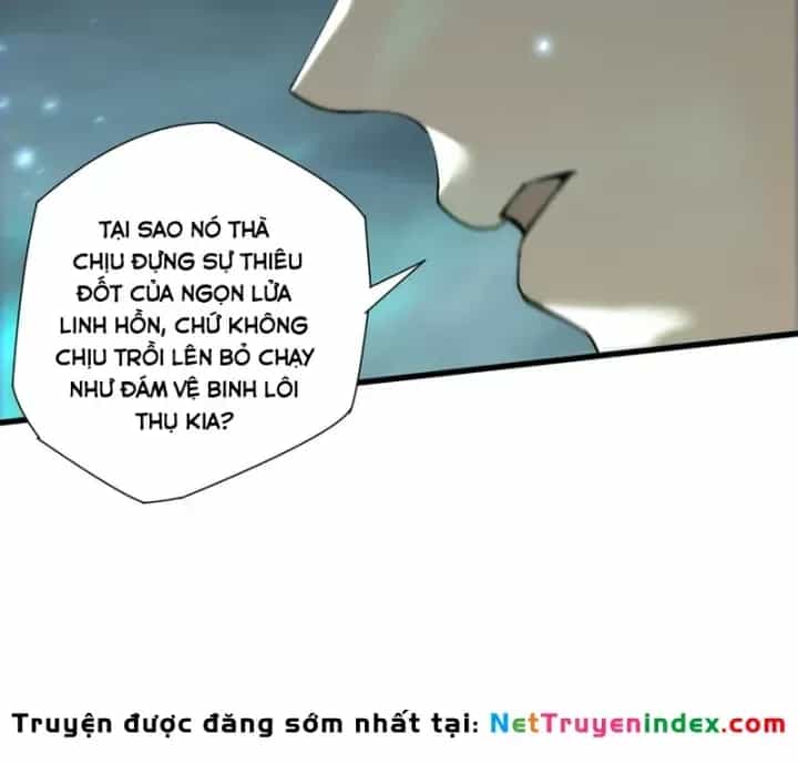 Thảm Họa Tử Linh Sư - Chương 267 - ảnh 82