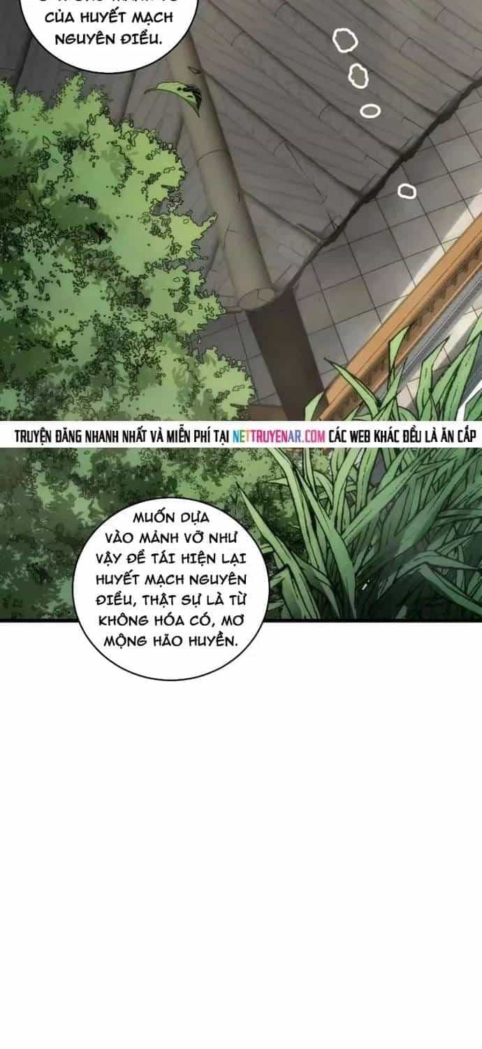 Thảm Họa Tử Linh Sư - Chương 272 - ảnh 40