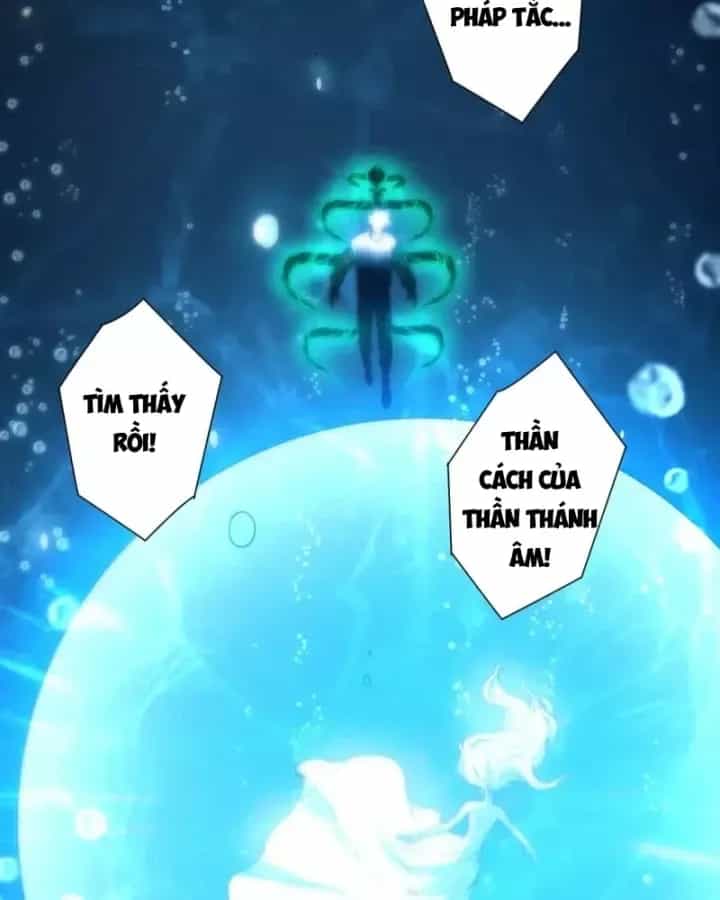 Thảm Họa Tử Linh Sư - Chương 273.5 - ảnh 80