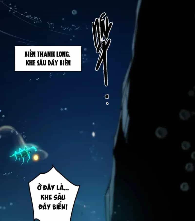 Thảm Họa Tử Linh Sư - Chương 276 - ảnh 59