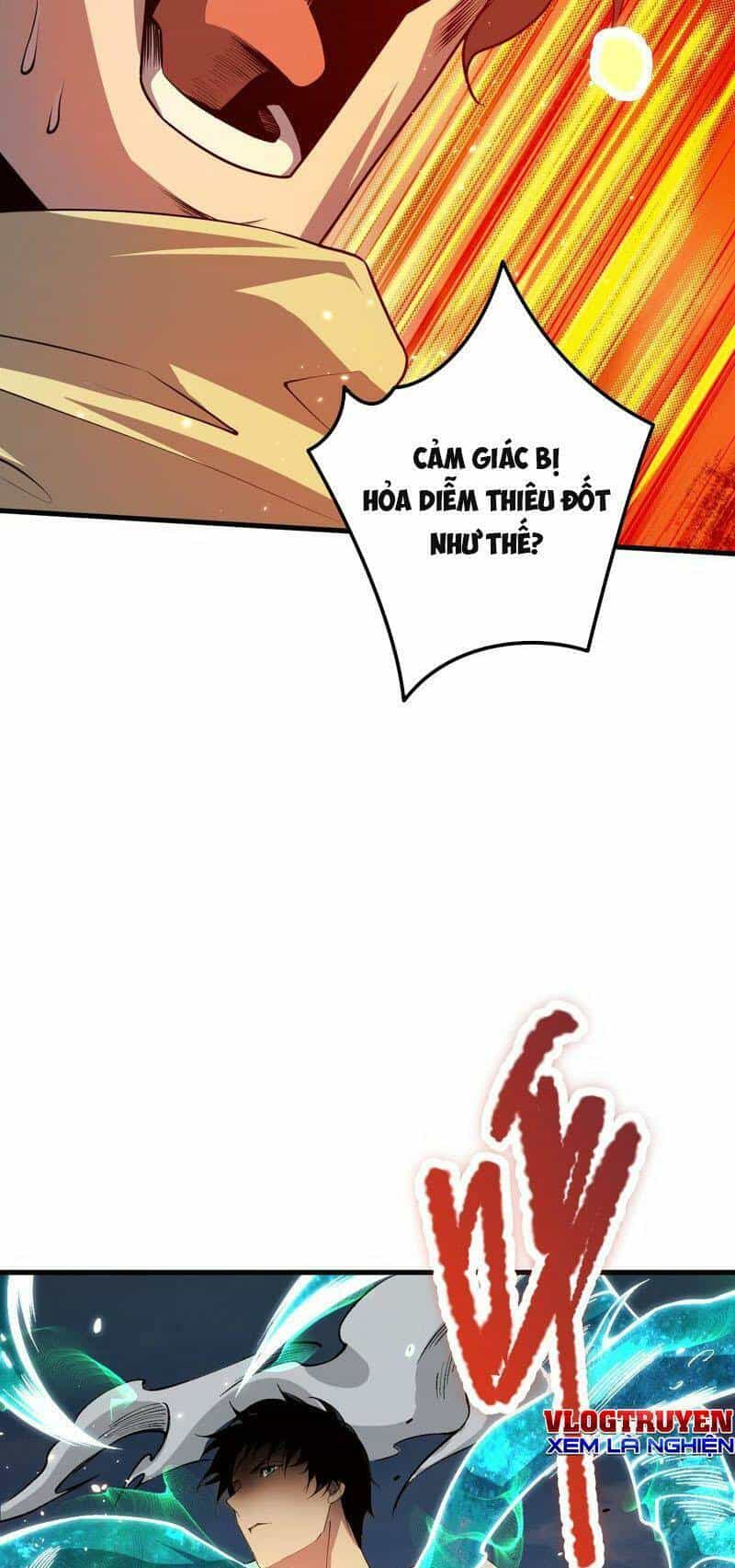 Thảm Họa Tử Linh Sư - Chương 32 - ảnh 40