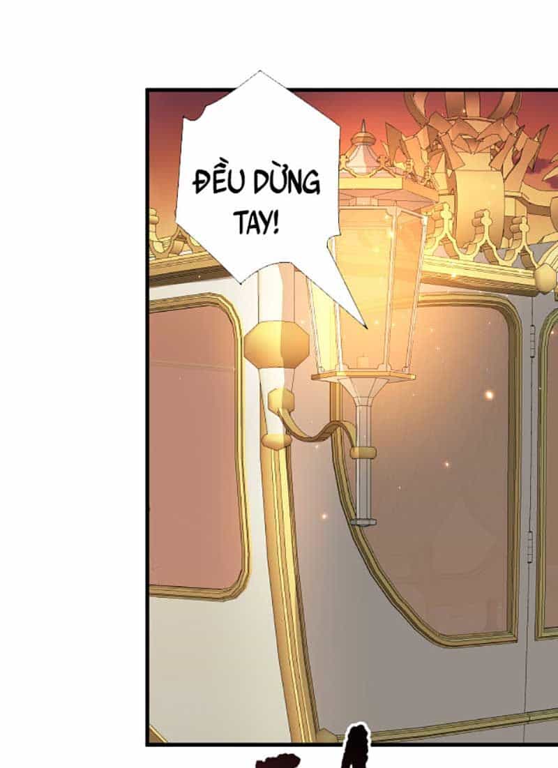 Thảm Họa Tử Linh Sư - Chương 45 - ảnh 72