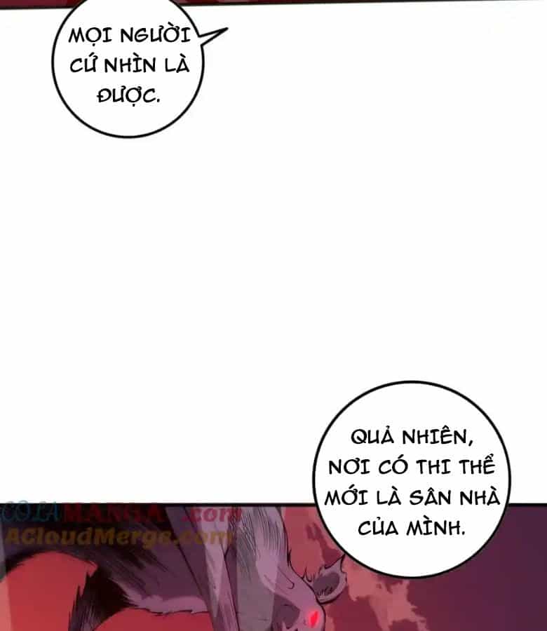 Thảm Họa Tử Linh Sư - Chương 55 - ảnh 90