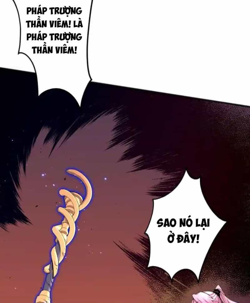 Thảm Họa Tử Linh Sư - Chương 62 - ảnh 13