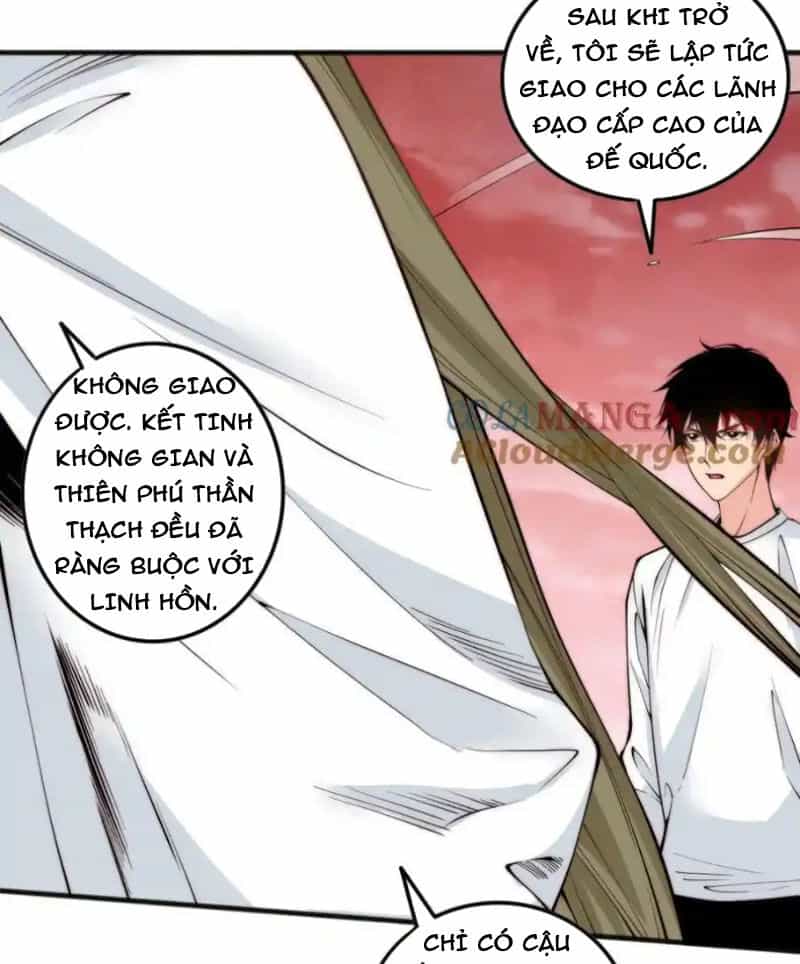 Thảm Họa Tử Linh Sư - Chương 62 - ảnh 51