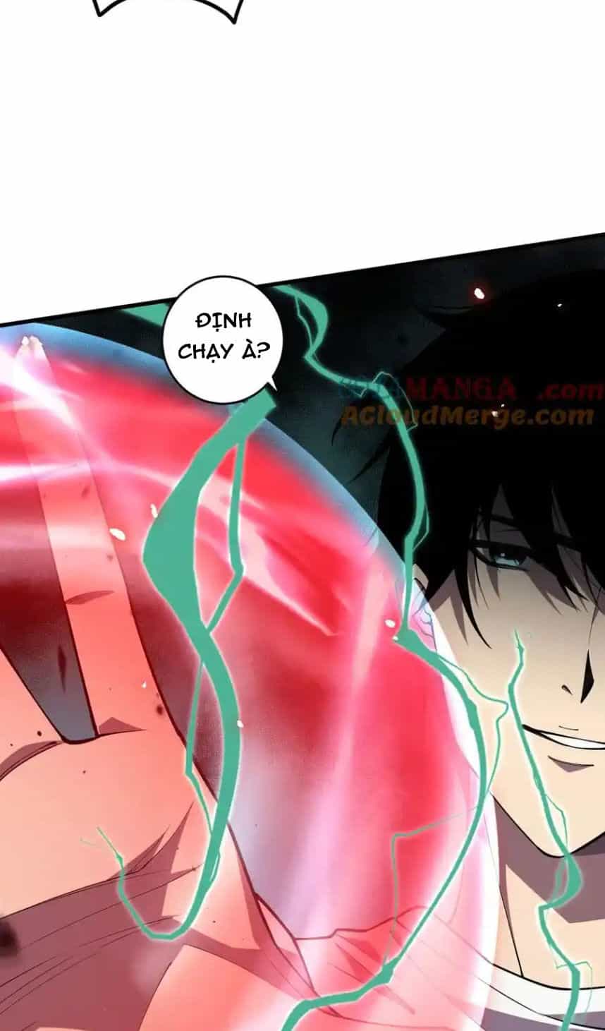 Thảm Họa Tử Linh Sư - Chương 65 - ảnh 12