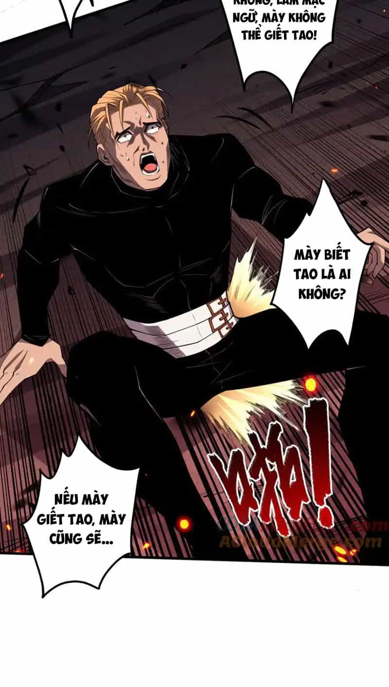 Thảm Họa Tử Linh Sư - Chương 65 - ảnh 26