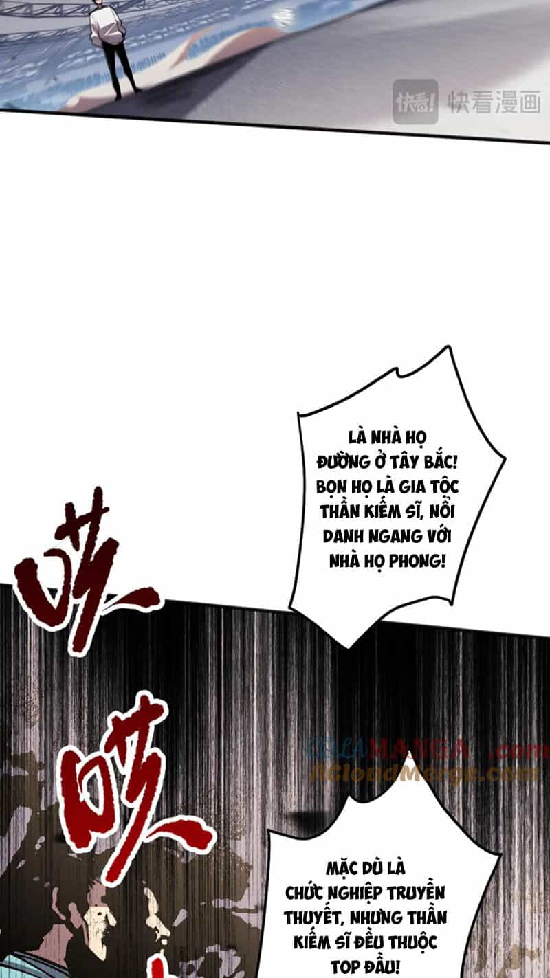 Thảm Họa Tử Linh Sư - Chương 72 - ảnh 62