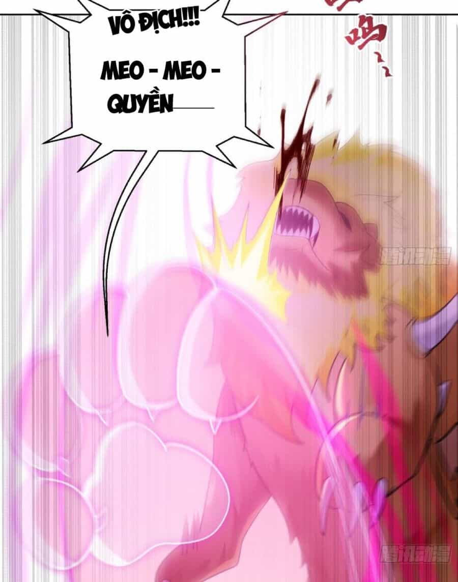 Thần Cấp Khế Ước : Bắt Đầu Với Một Con Mèo - Chương 2 - ảnh 13