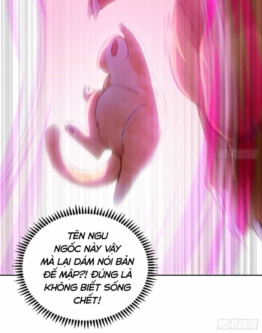 Thần Cấp Khế Ước : Bắt Đầu Với Một Con Mèo - Chương 2 - ảnh 14