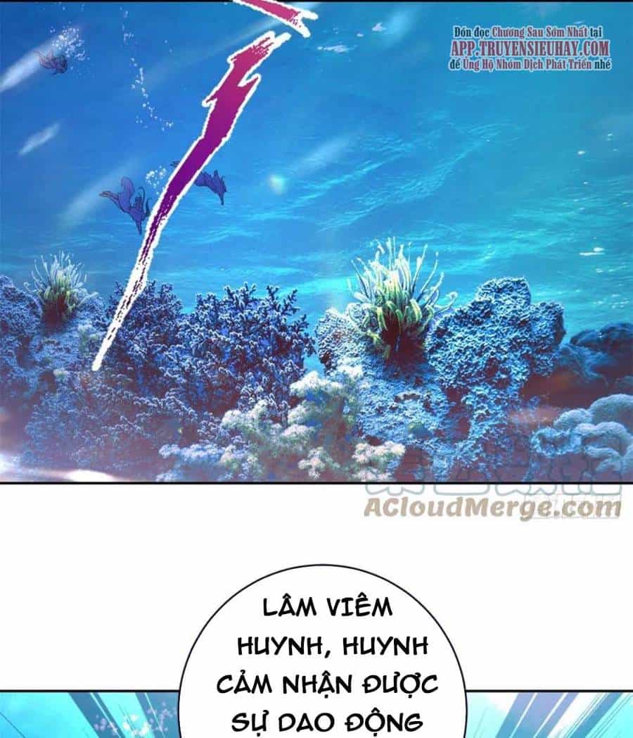 Thần Hồn Võ Đế - Chương 247 - ảnh 14