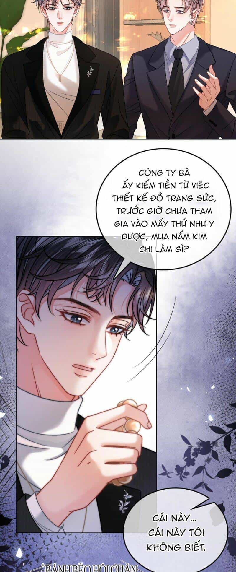Thân Phận Của Phu Nhân Làm Chấn Động Cả Thành Phố. - Chương 12 - ảnh 13