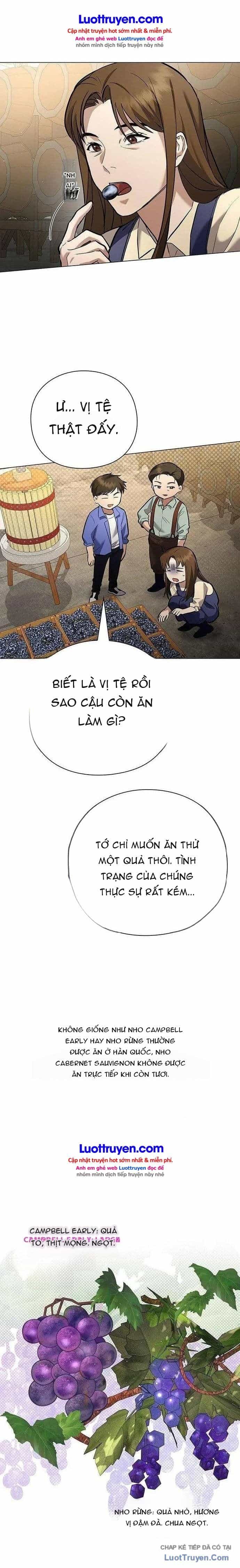 Thần Rượu Vang - Chương 6 - ảnh 24