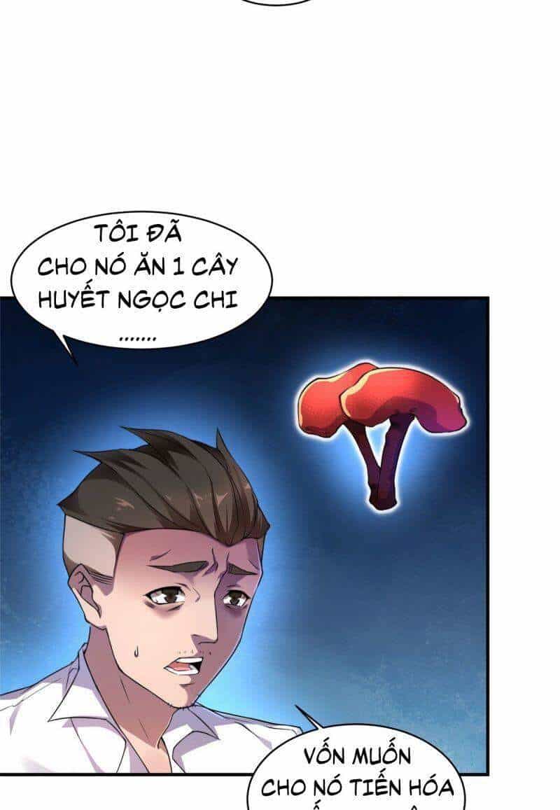 Thần Sủng Tiến Hóa - Chương 11 - ảnh 11