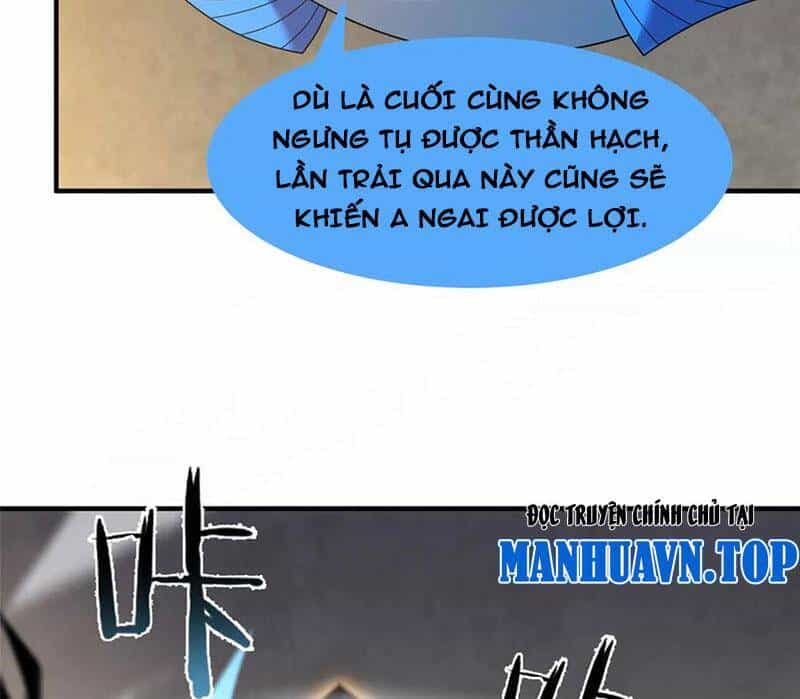Thần Sủng Tiến Hóa - Chương 331 - ảnh 24
