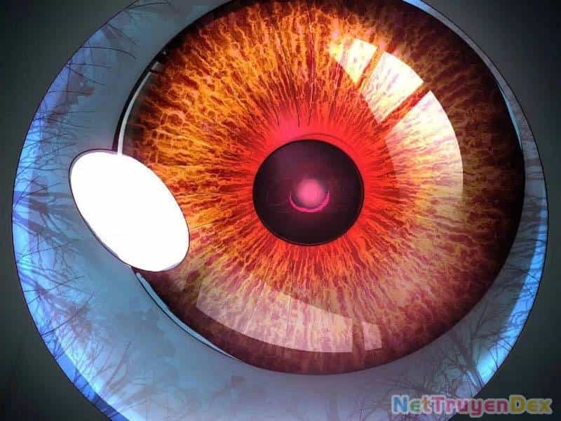 Thần Trò Chơi Dục Vọng - Chương 23 - ảnh 92