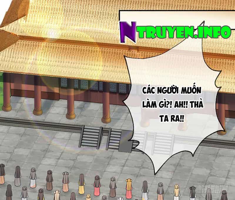 Thanh Cung Chi Ninh Mặc Vô Thanh - Chương 5 - ảnh 24