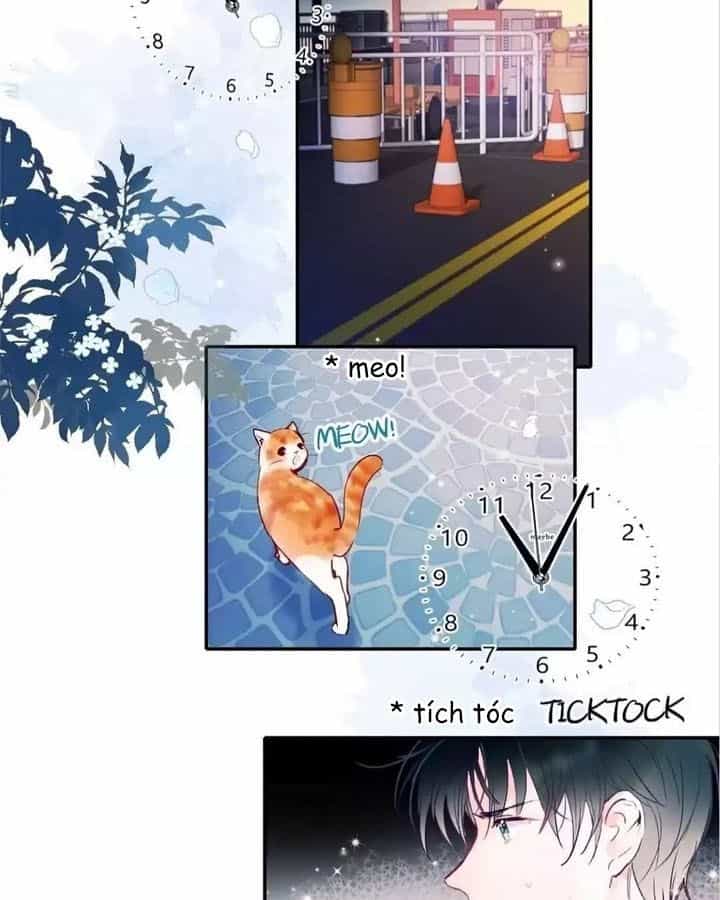 Thành Dã Tiêu Hà - Chương 67 - ảnh 57
