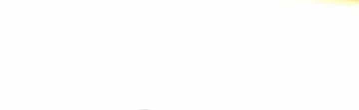 Thánh Hiệp Sĩ Cấp Sss - Chương 156 - ảnh 16