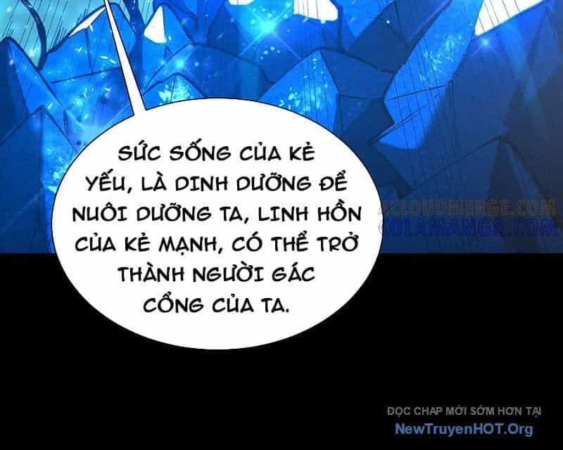 Thánh Hiệp Sĩ Cấp Sss - Chương 97 - ảnh 88