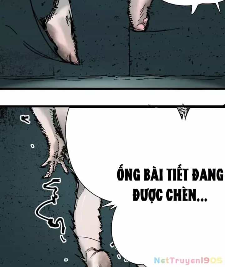Thánh Huyết - Chương 1 - ảnh 20