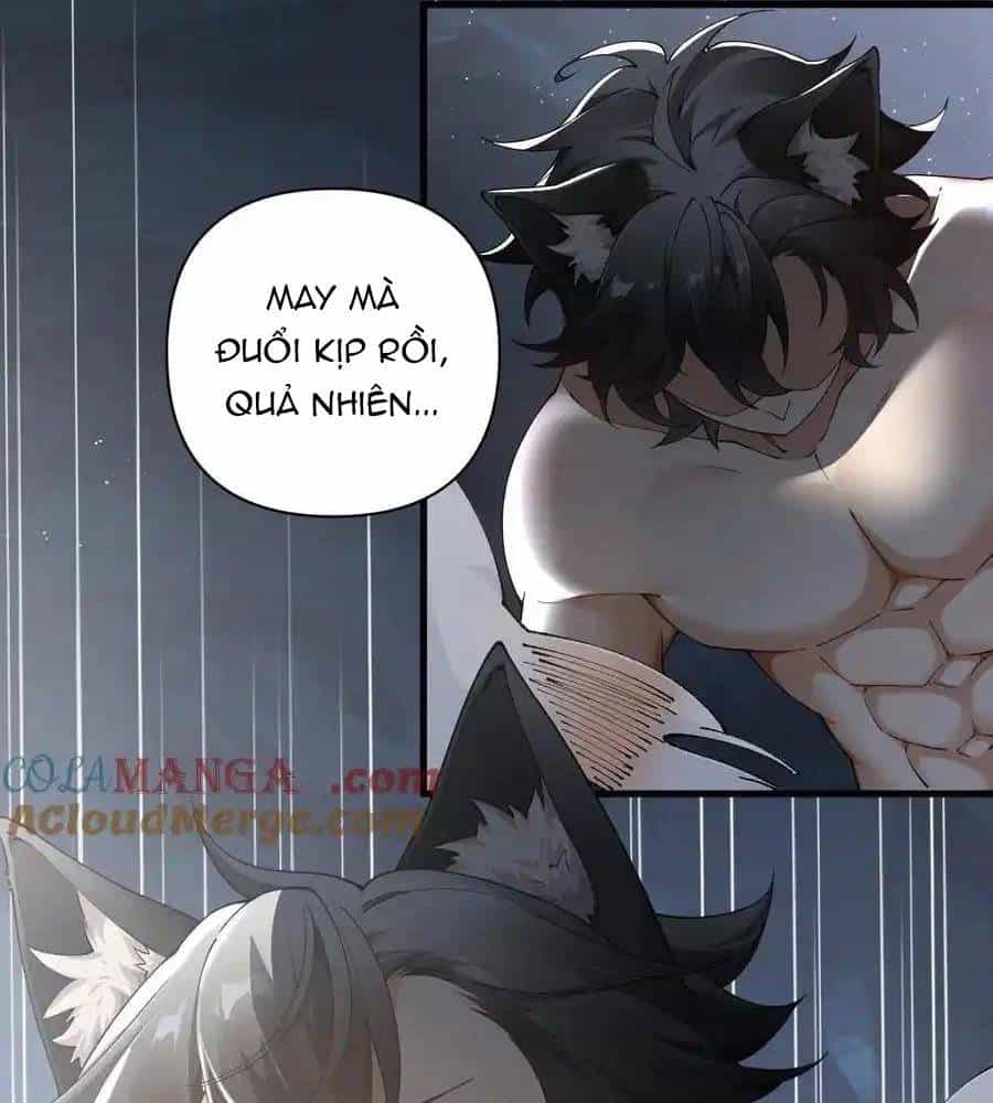 Thánh Nữ, Xin Hãy Dừng Ngay Những Trò Quái Đản Của Cô Đi!! - Chương 79 - ảnh 67