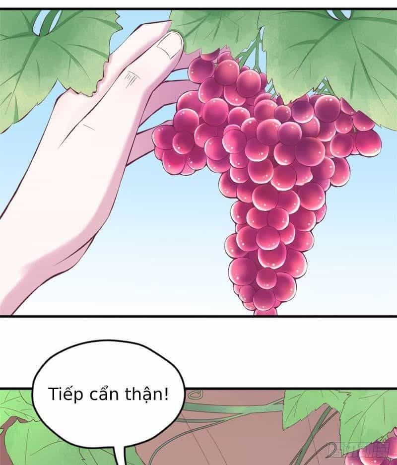 Thảnh Thơi Thú Thế Chủng Chủng Điền, Sinh Sinh Tể - Chương 151 - ảnh 28