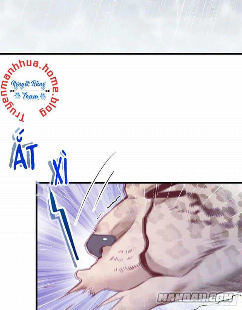 Thảnh Thơi Thú Thế Chủng Chủng Điền, Sinh Sinh Tể - Chương 204 - ảnh 36