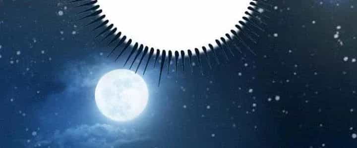 Thành Tựu Của Ta Rất Nhiều - Chương 42 - ảnh 179