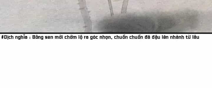 Thành Tựu Của Ta Rất Nhiều - Chương 224 - ảnh 214