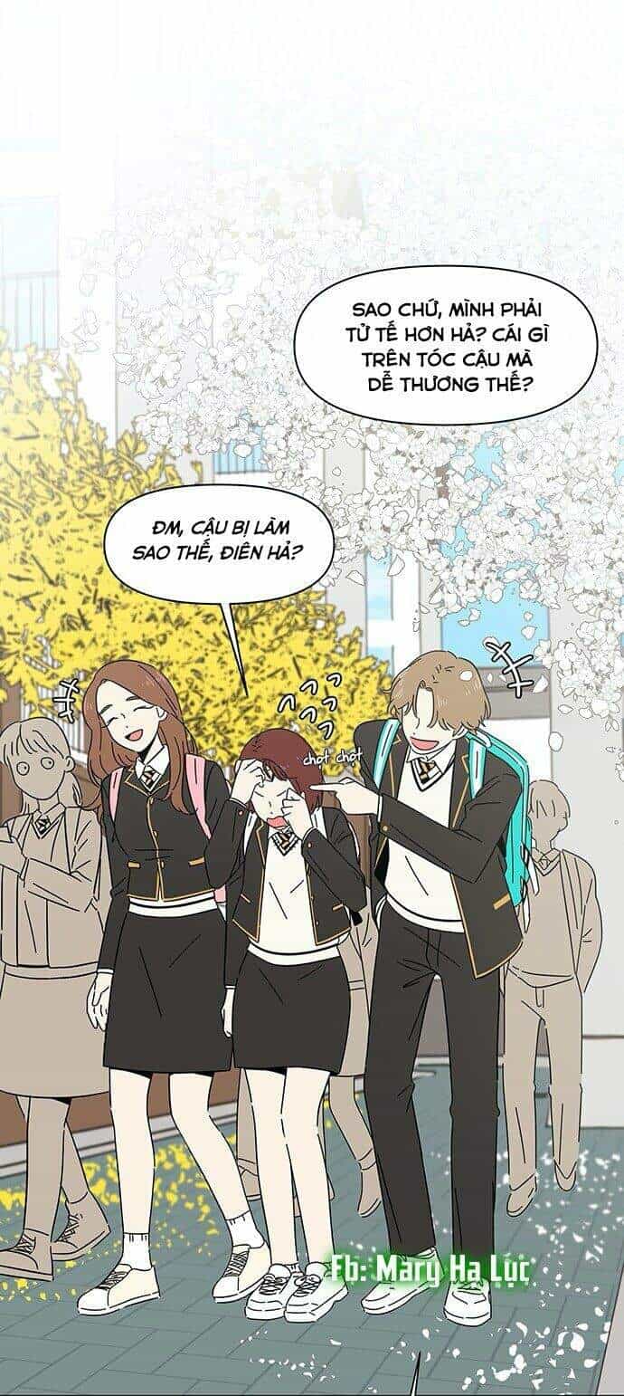 Thanh Xuân Rực Rỡ - Chương 1 - ảnh 16