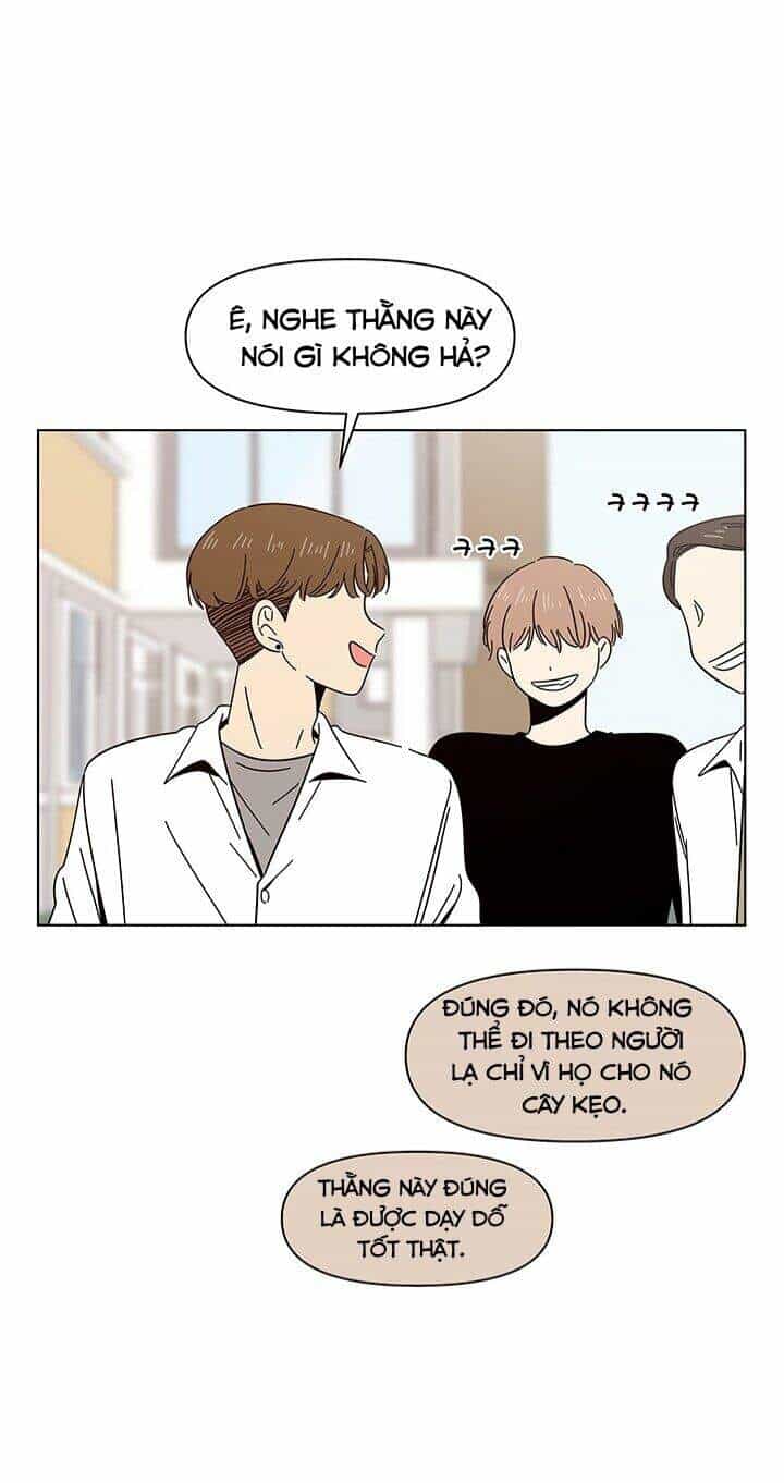Thanh Xuân Rực Rỡ - Chương 13 - ảnh 10