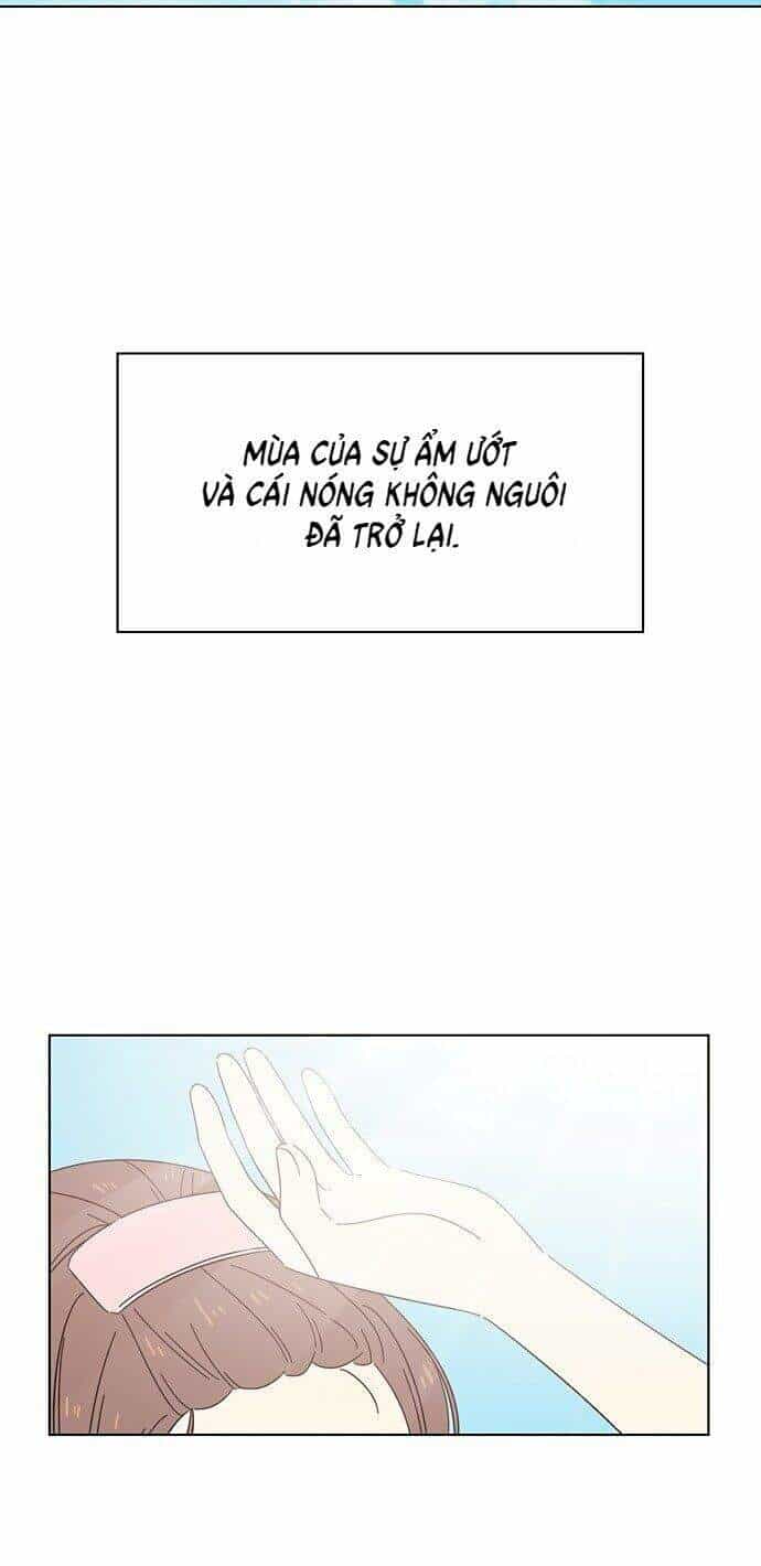 Thanh Xuân Rực Rỡ - Chương 31 - ảnh 11