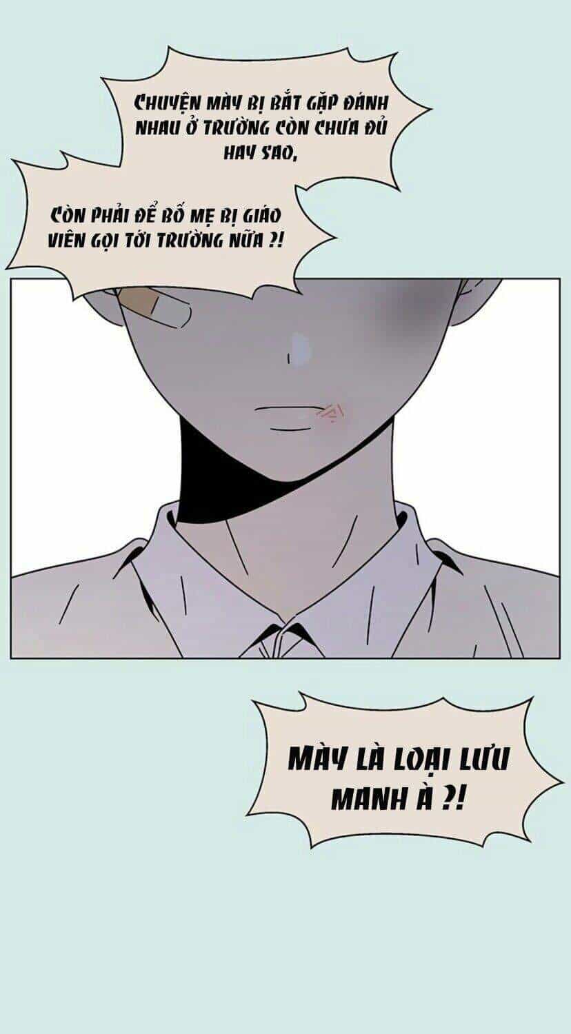 Thanh Xuân Rực Rỡ - Chương 54 - ảnh 14