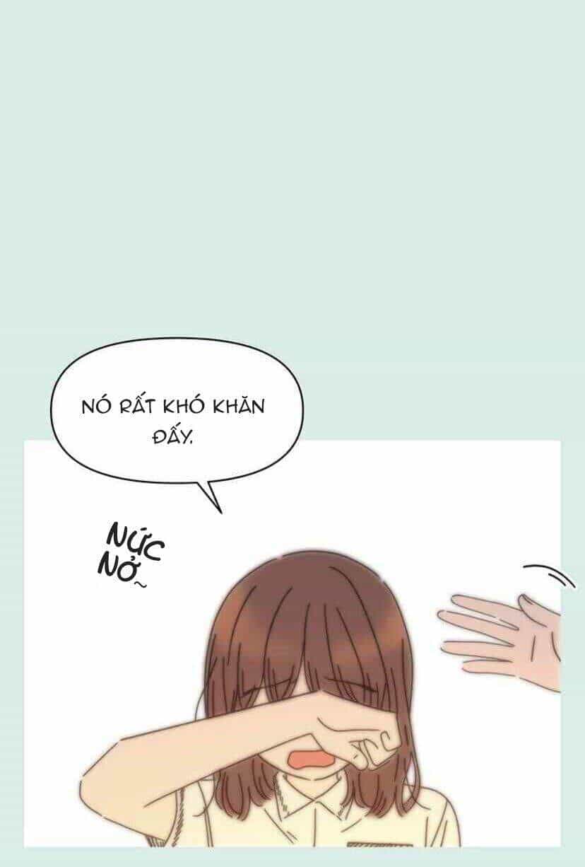Thanh Xuân Rực Rỡ - Chương 58 - ảnh 55