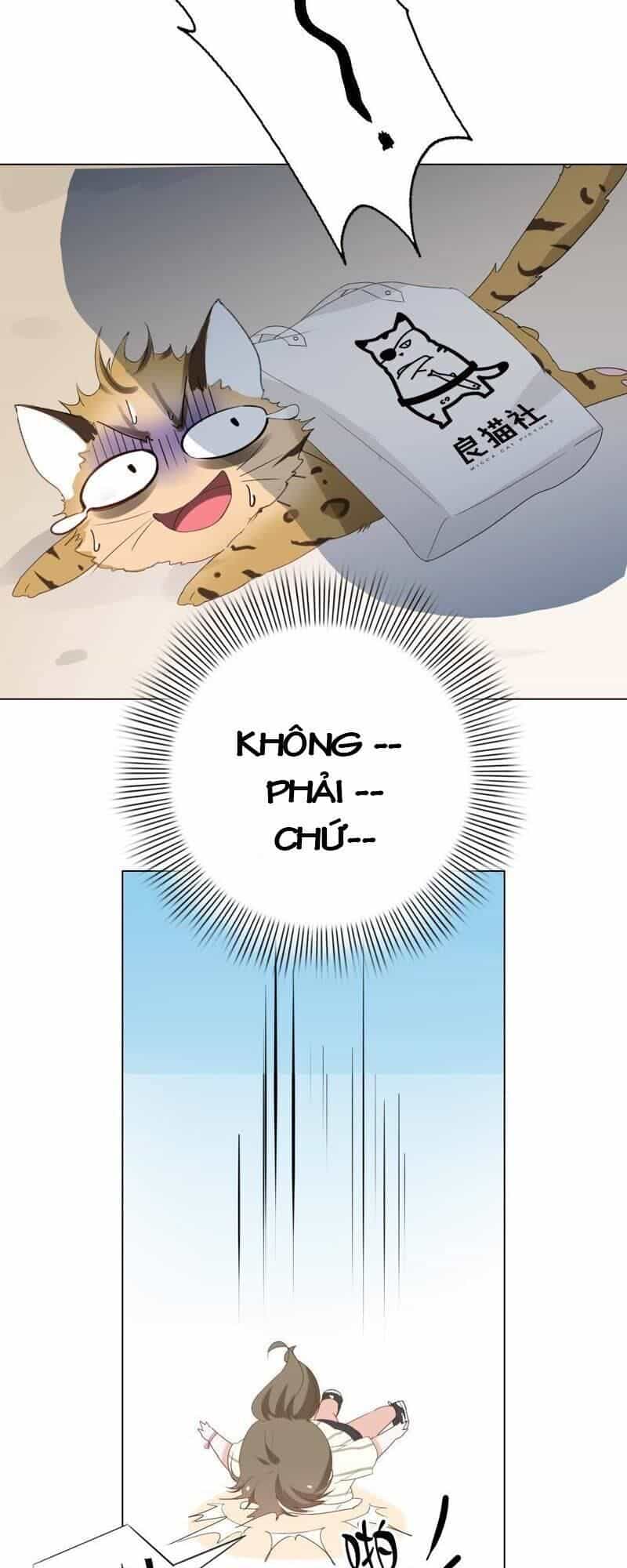 Thập Nhị Hắc Miêu - Chương 1 - ảnh 27