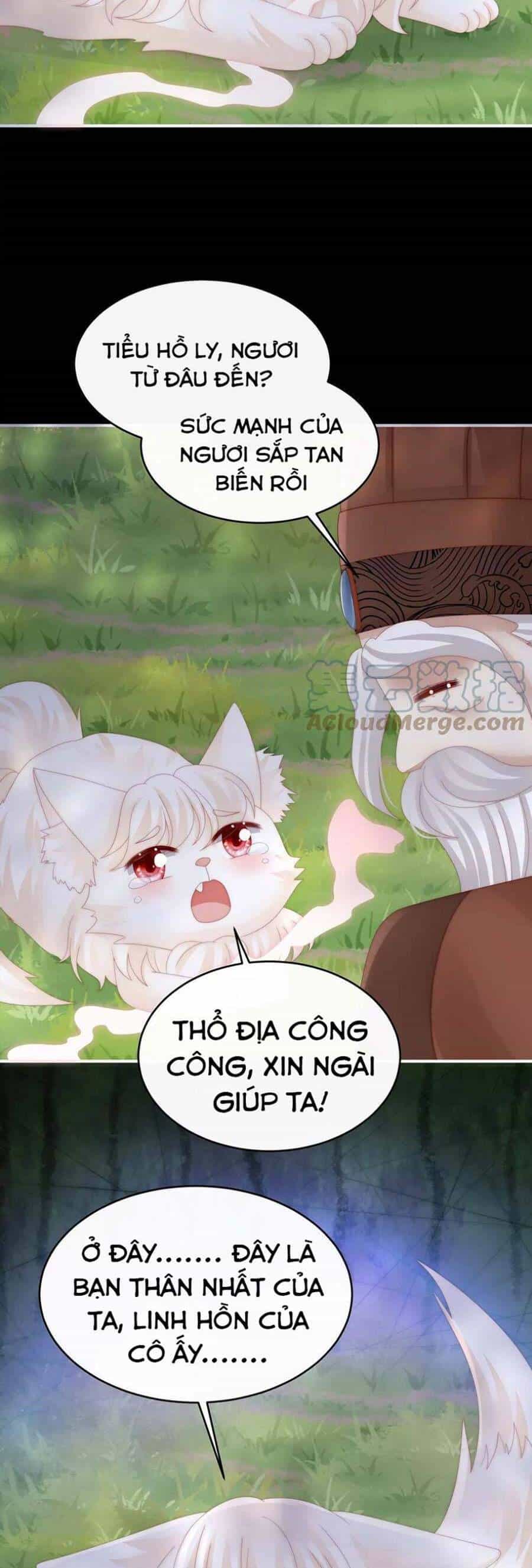 Thê Chủ, Thỉnh Hưởng Dụng - Chương 83 - ảnh 8