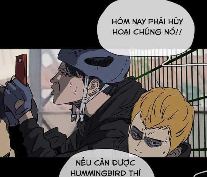 Thể Thao Cực Hạn - Chương 146 - ảnh 41