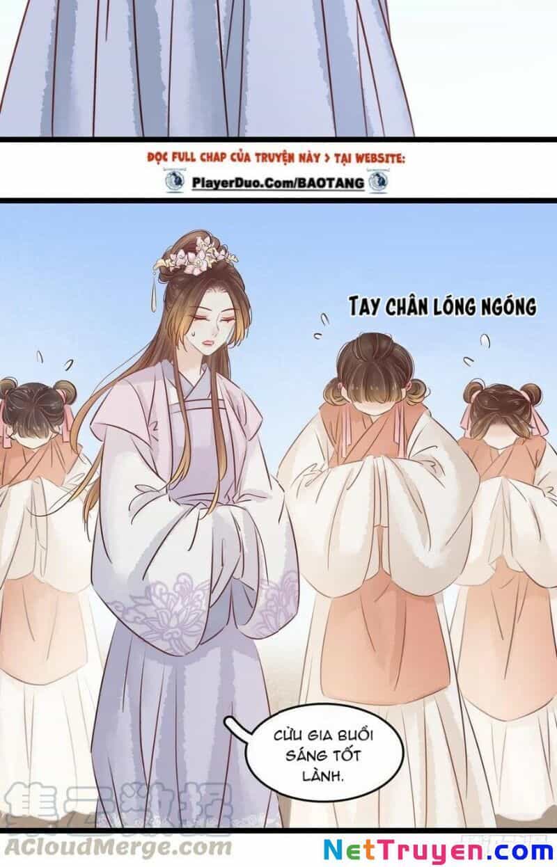 Thị Thiếp Trở Mình Bảo Điển - Chương 29 - ảnh 17