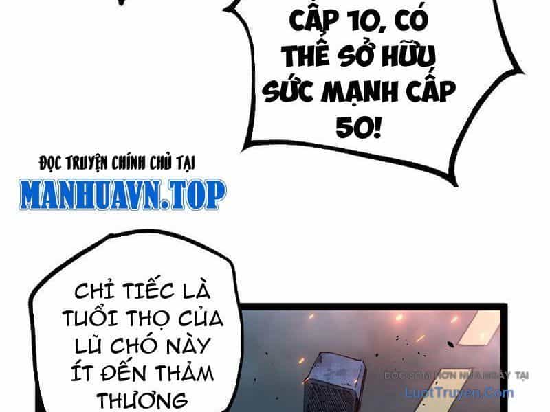 Thích Khách Thần Cấp, Ta Chính Là Bóng Đêm - Chương 71 - ảnh 40