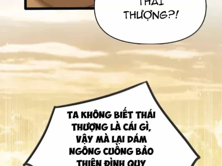 Thiên Đạo Này Cũng Không Ngốc Lắm - Chương 191 - ảnh 99