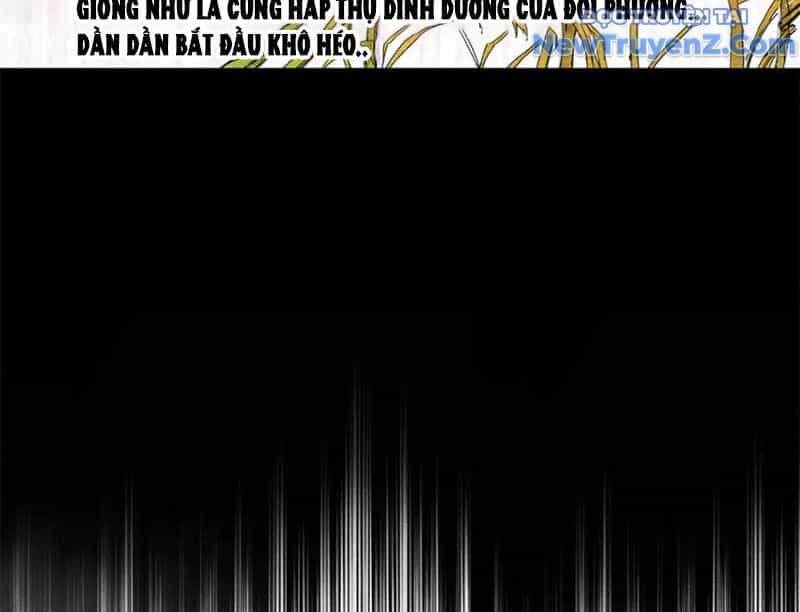 Thiên Hạ Đệ Nhất Lữ Bố - Chương 125 - ảnh 84