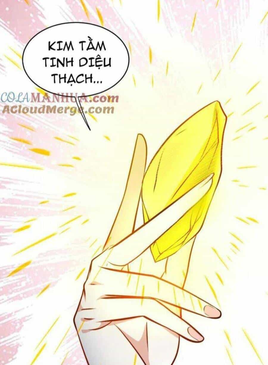Thiên Khải Bại Gia - Chương 104 - ảnh 33