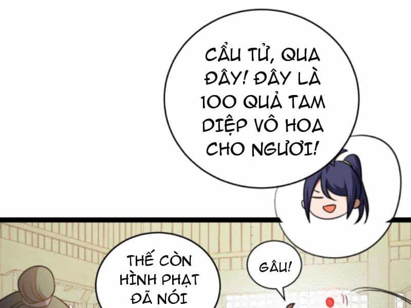 Thiên Khải Bại Gia - Chương 188 - ảnh 19