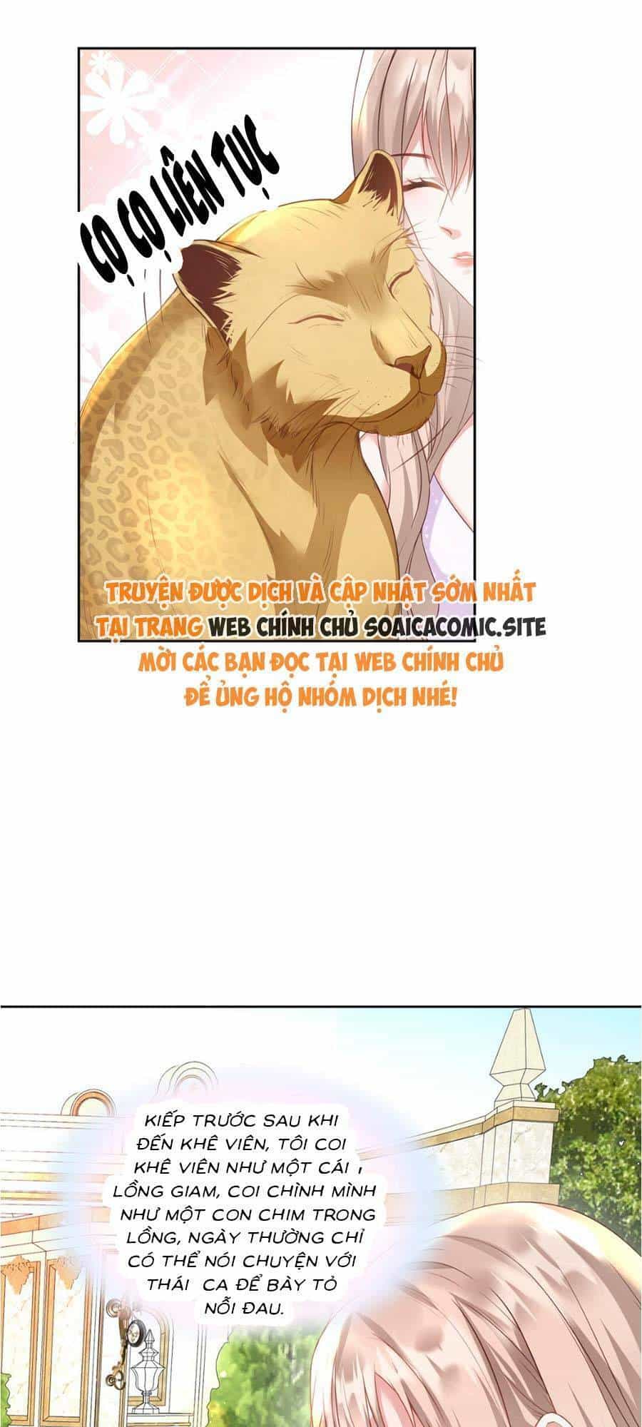 Thiên Kim Toàn Năng Trọng Sinh - Chương 5 - ảnh 9