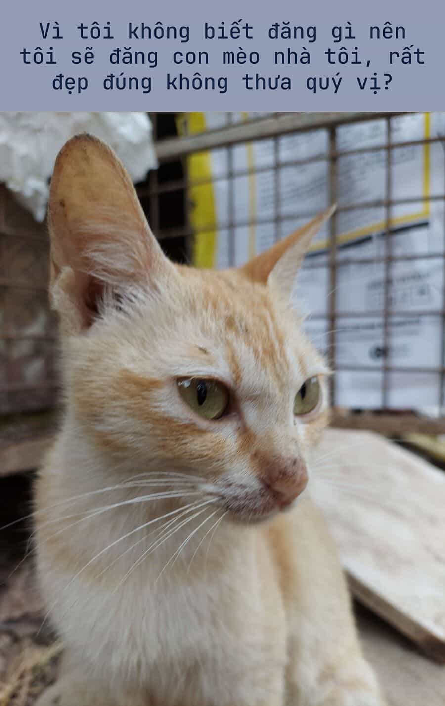 Thiên Sứ Nhà Bên - Chương 24.3 - ảnh 2