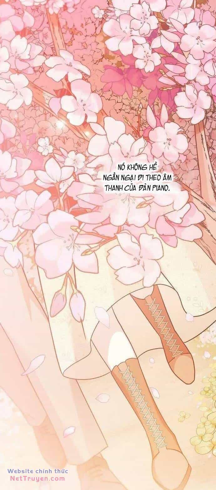 Thiên Tài Âm Nhạc - Chương 10 - ảnh 15